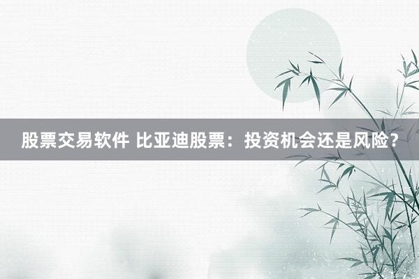 股票交易軟件 比亞迪股票：投資機會還是風(fēng)險？