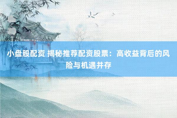 小盤股配資 揭秘推薦配資股票：高收益背后的風(fēng)險與機遇并存