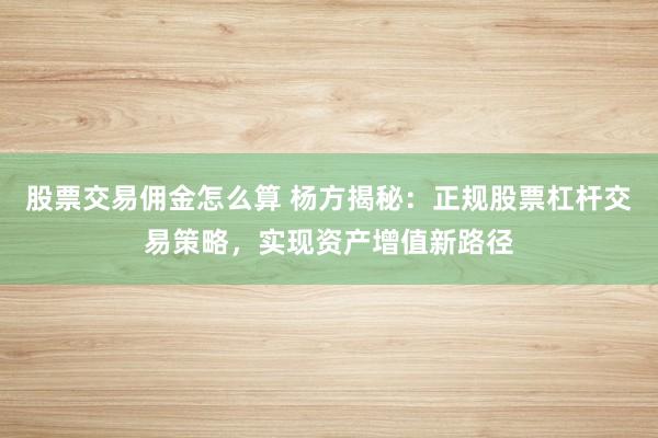 股票交易傭金怎么算 楊方揭秘：正規(guī)股票杠桿交易策略，實(shí)現(xiàn)資產(chǎn)增值新路徑