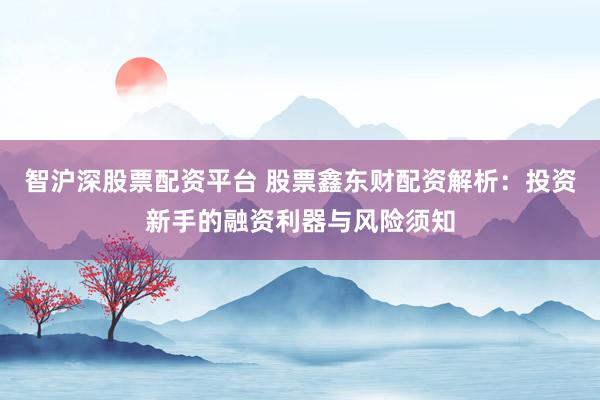 智滬深股票配資平臺(tái) 股票鑫東財(cái)配資解析：投資新手的融資利器與風(fēng)險(xiǎn)須知